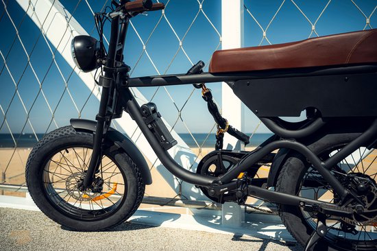 Axa kettingslot Loop 110 ART2